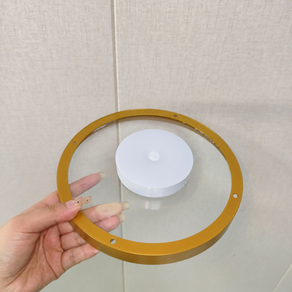 Royeva Round LED Floating Wall Shelf With Warm Lighting For Plants