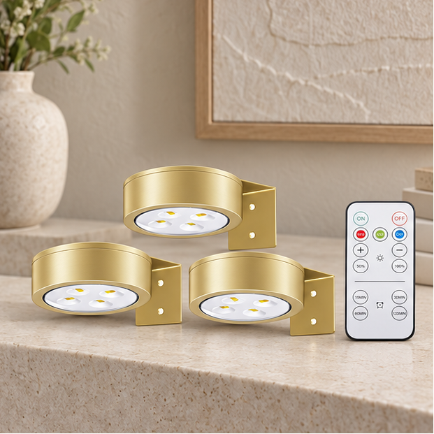 Royeva Magnetic LED Picture Lights-Wireless Dimmable Remote Control Art Display Light