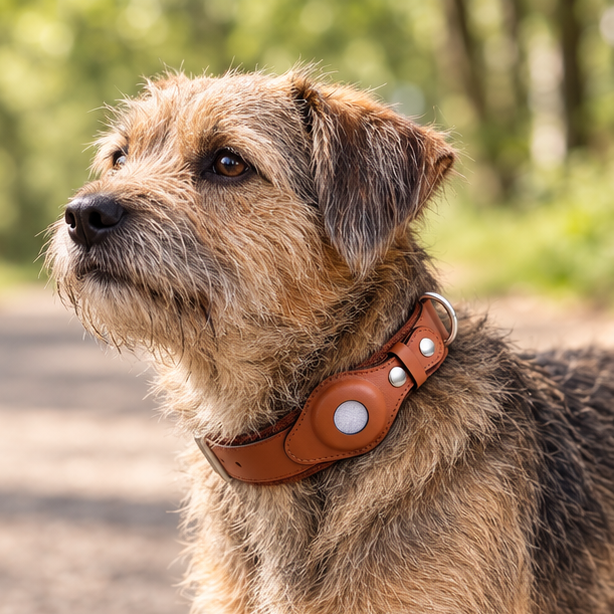 Royeva GPS Dog Collar With Worldwide Tracking And No Subscription Required
