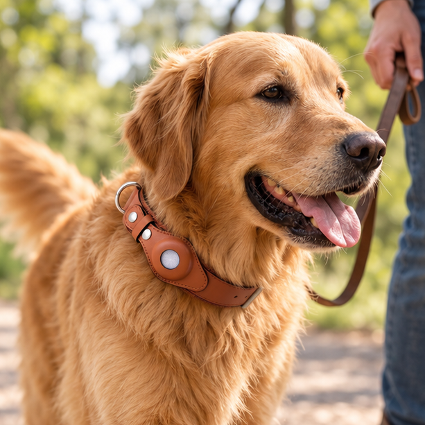 Royeva GPS Dog Collar With Worldwide Tracking And No Subscription Required