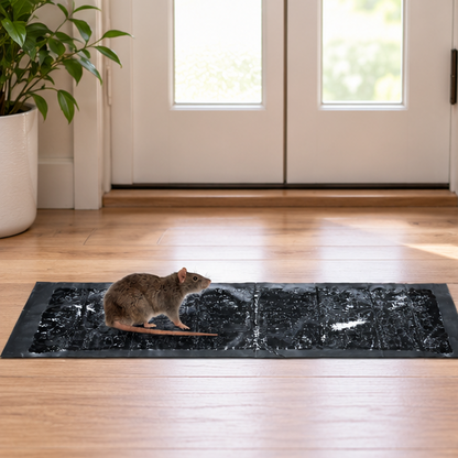 Royeva Glue Traps For Mice And Rats-Poison Free Pest Control 10 Pack