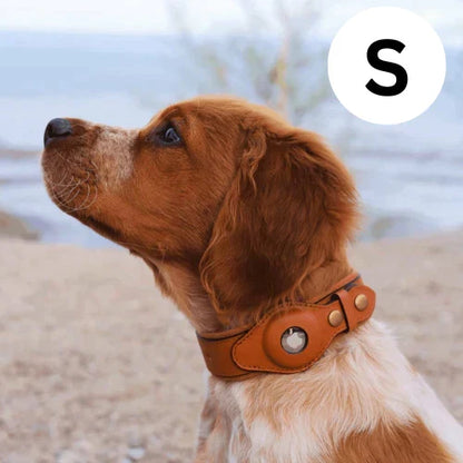 GPS Dog Collar with Worldwide Tracking Without Subscription for Safe Walks and Full Control Over Your Dog | Sansoti 4