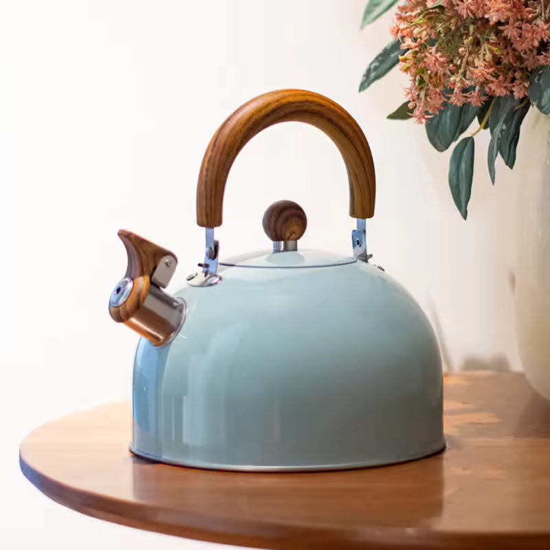 Sovere 3L Stainless Steel Tea Kettle with Whistle, Heat Resistant Handle & Fast Boiling Design