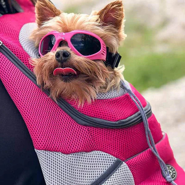 Luxora Fur Sport Backpack for Pets - Adjustable & Safe 1