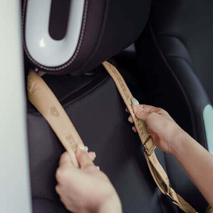 Royeva Dog Car Seat with Safety Belt
