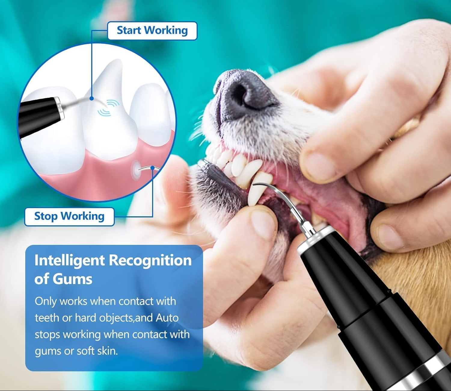 Pet Tartar Remover - Ultrasonic Tooth Cleaner 7