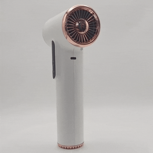 Royaleva Cordless Hair Dryer: 30,000 Rpm For Fast Drying 1