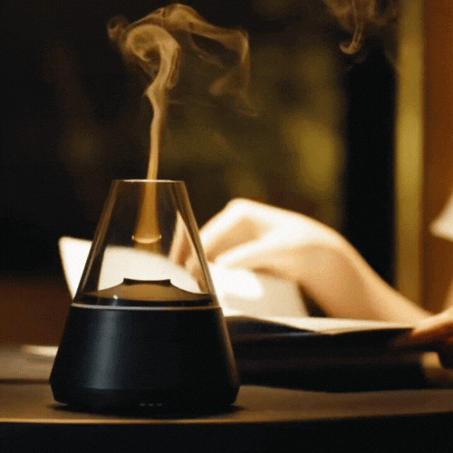 Royaleva Flame Humidifier for Bedroom with Essential Oil Diffuser and LED Light 1