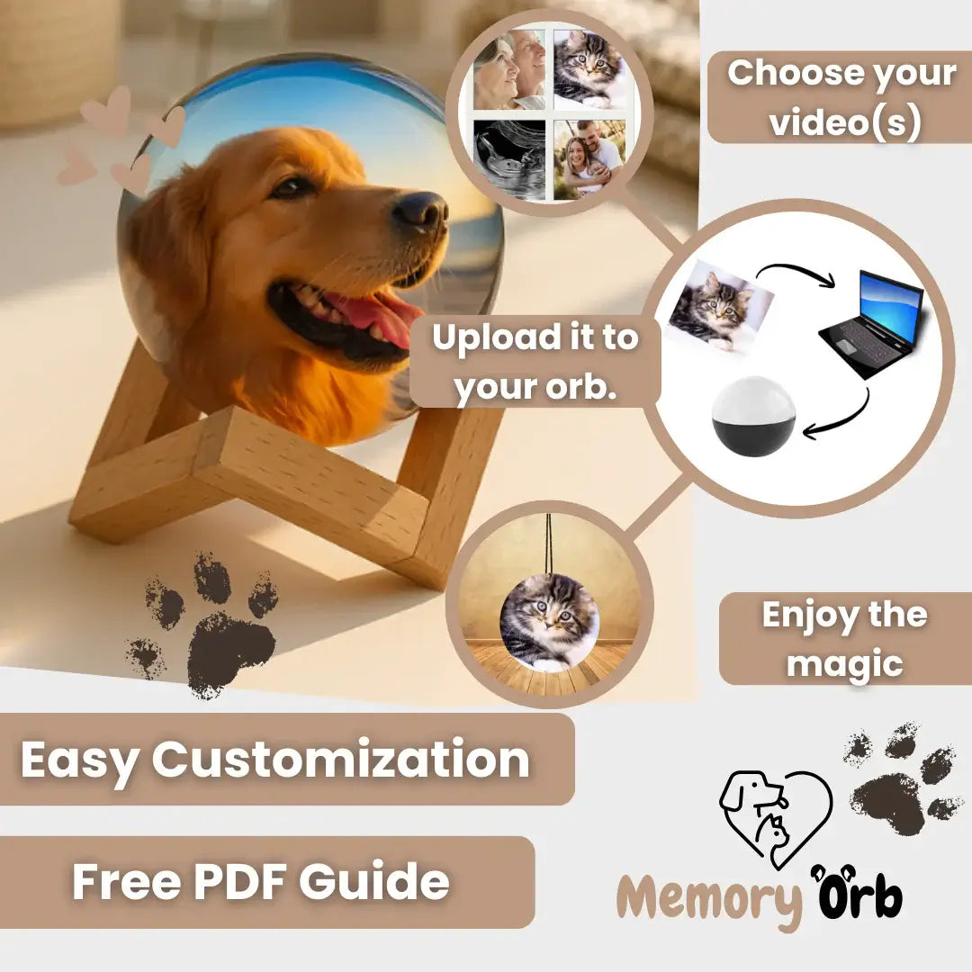 Royallure Memory Orb – Custom Video Sphere with 360° Sound & USB Upload 3