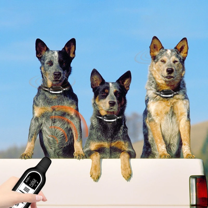 Royallure Rechargeable Waterproof Dog Training Collar - Shock E Collar with Remote Control 5