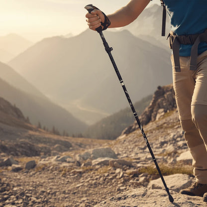 Single Trekking Pole 1