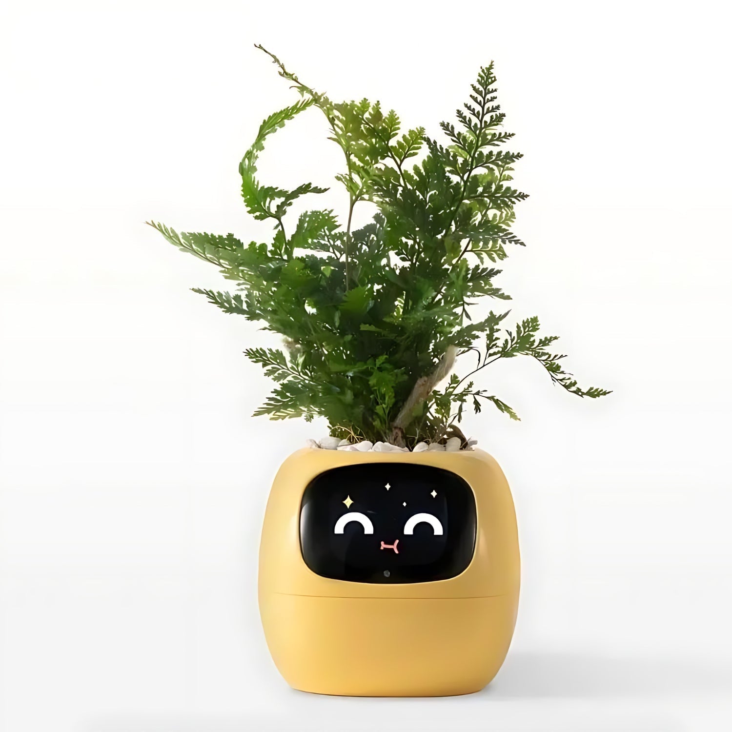 Smart Plant Pot | Self-Watering Flower Pot with App & Emoji Alerts 10