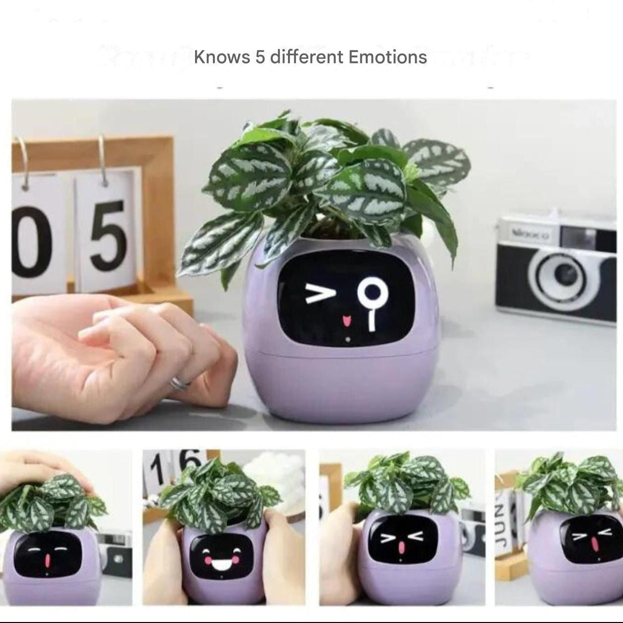 Smart Plant Pot | Self-Watering Flower Pot with App & Emoji Alerts 3