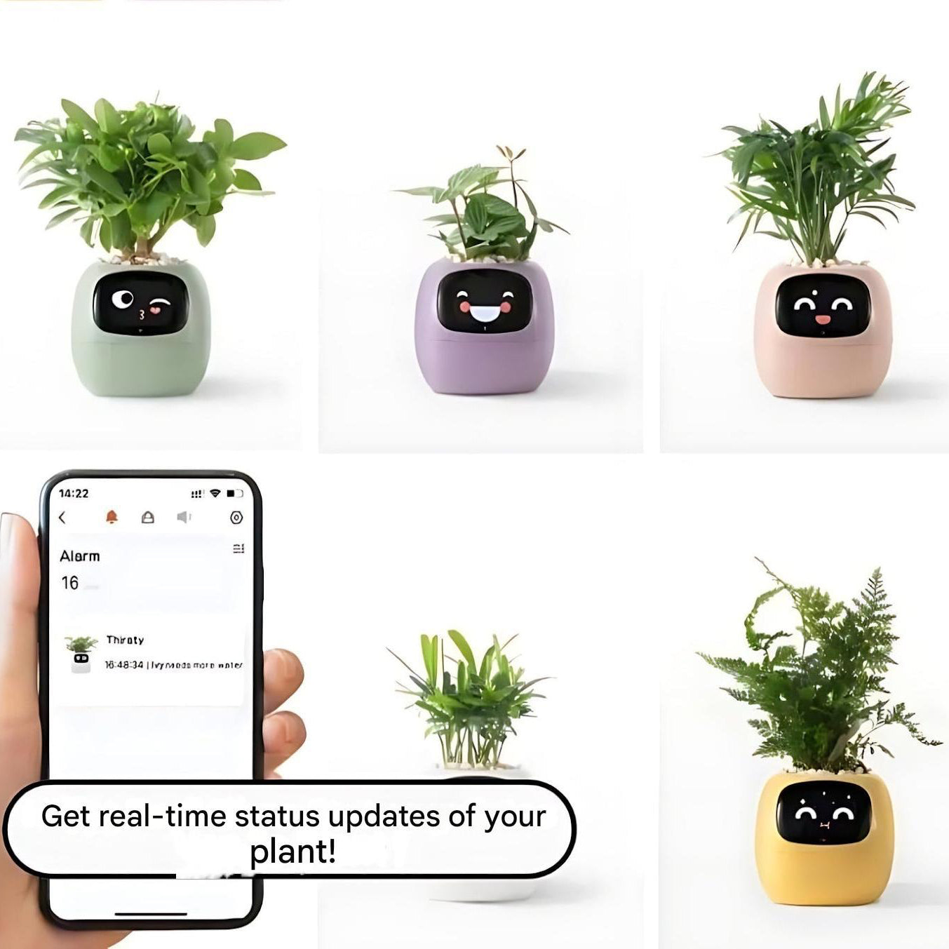 Smart Plant Pot | Self-Watering Flower Pot with App & Emoji Alerts 5