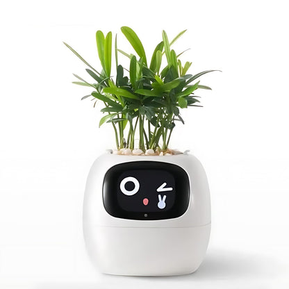 Smart Plant Pot | Self-Watering Flower Pot with App & Emoji Alerts 7