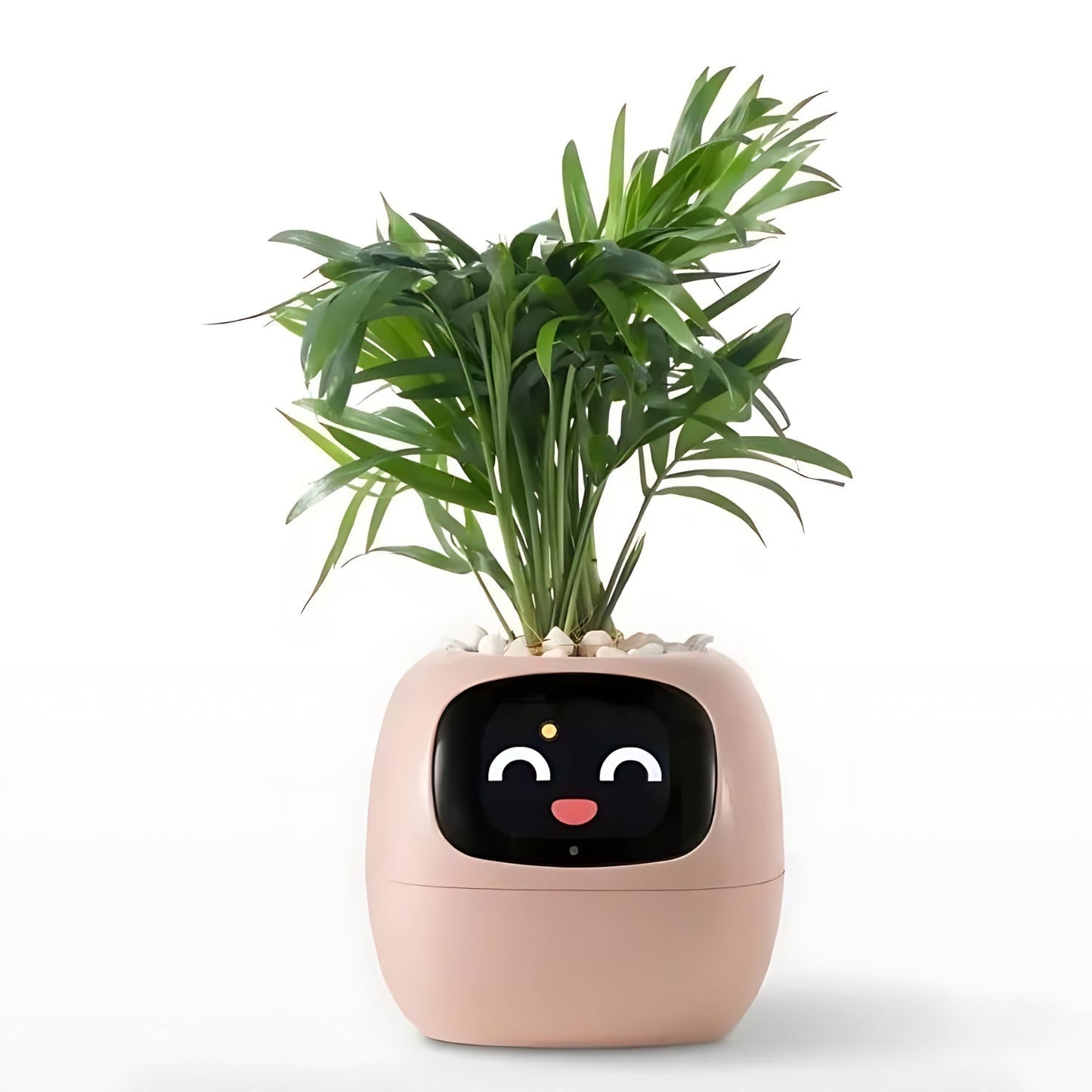 Smart Plant Pot | Self-Watering Flower Pot with App & Emoji Alerts 8