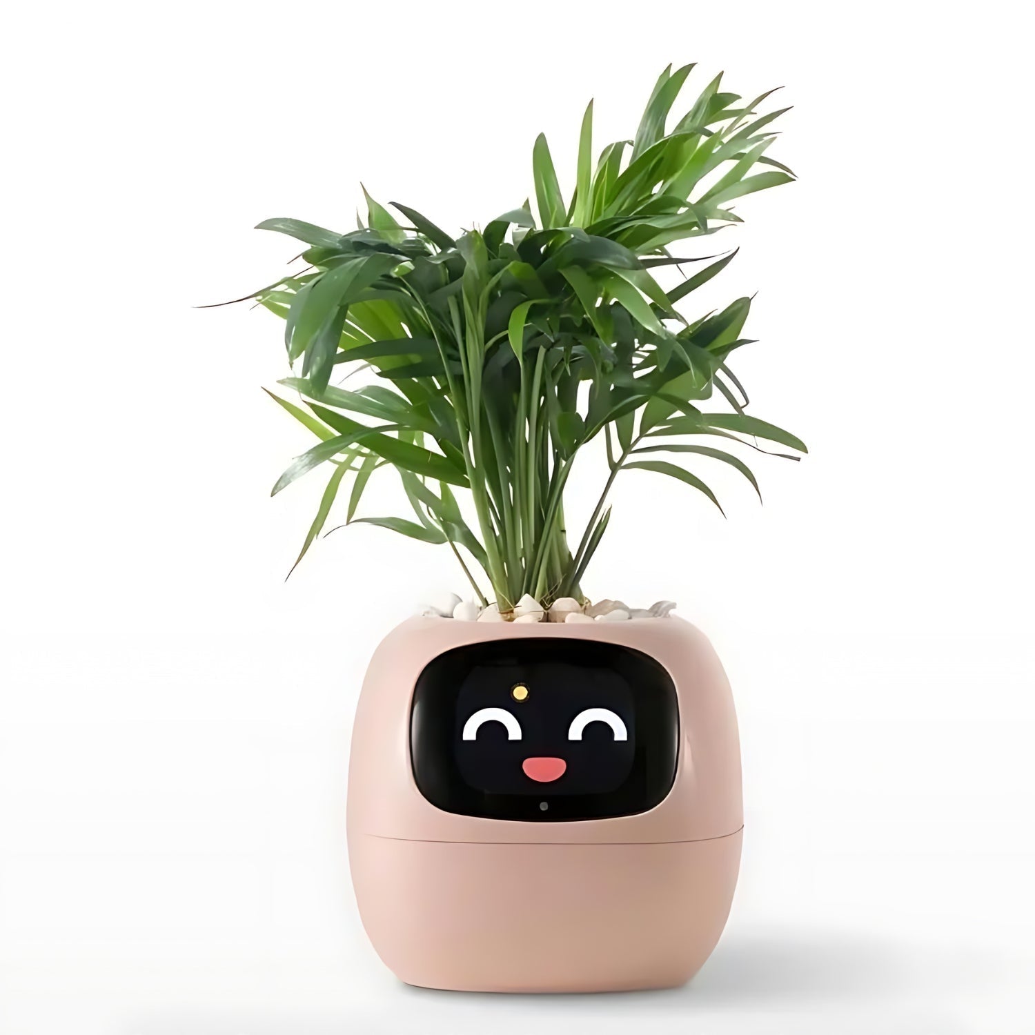 Smart Plant Pot | Self-Watering Flower Pot with App & Emoji Alerts 8