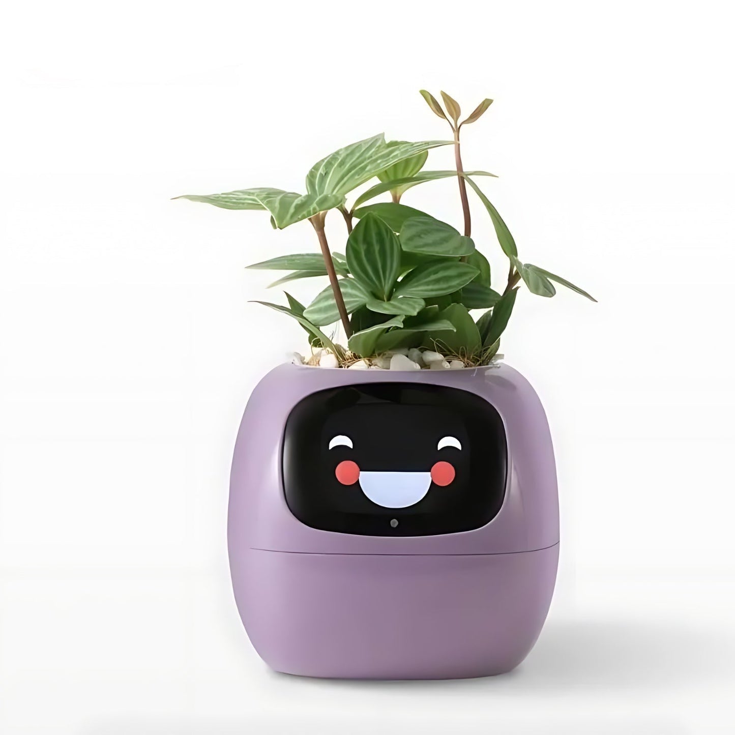 Smart Plant Pot | Self-Watering Flower Pot with App & Emoji Alerts 9