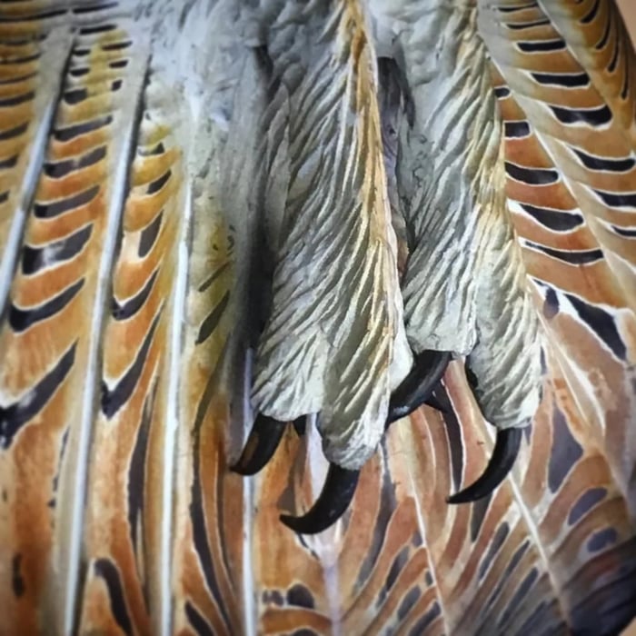 Sovere Handcrafted Owl Wall Art Sculpture in Natural Wood Finish for Unique Home Decor 7