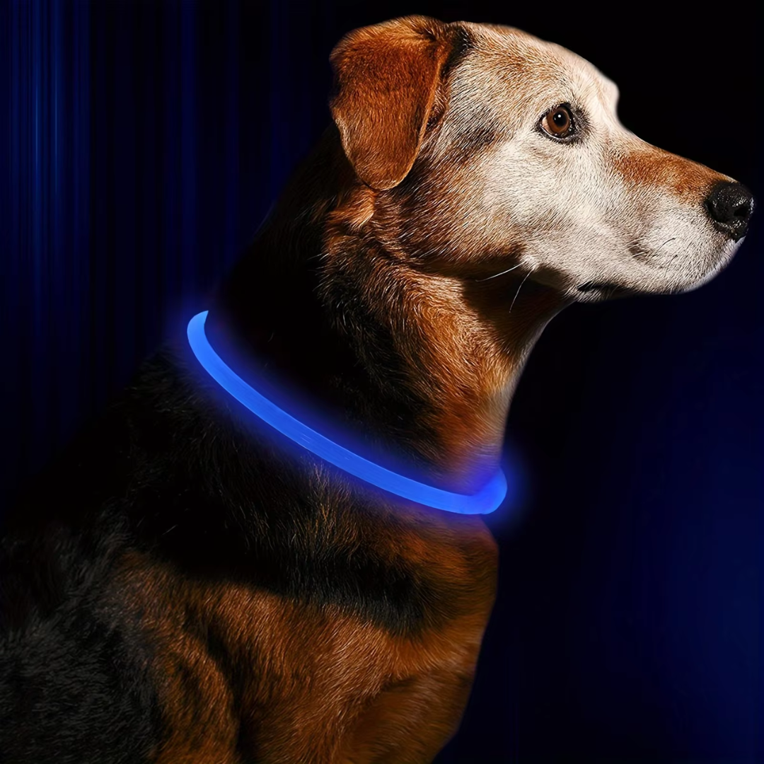 Sovere LED Dog Collar with Rechargeable Light, Adjustable Size, Waterproof Design for Nighttime Safety 10