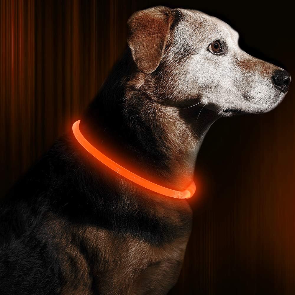 Sovere LED Dog Collar with Rechargeable Light, Adjustable Size, Waterproof Design for Nighttime Safety 3