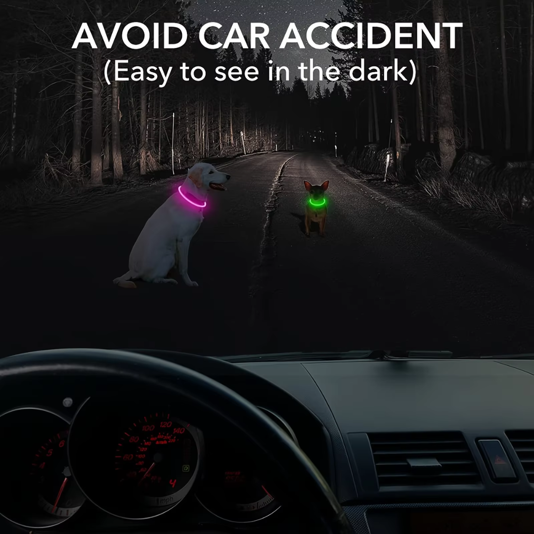 Sovere LED Dog Collar with Rechargeable Light, Adjustable Size, Waterproof Design for Nighttime Safety 5