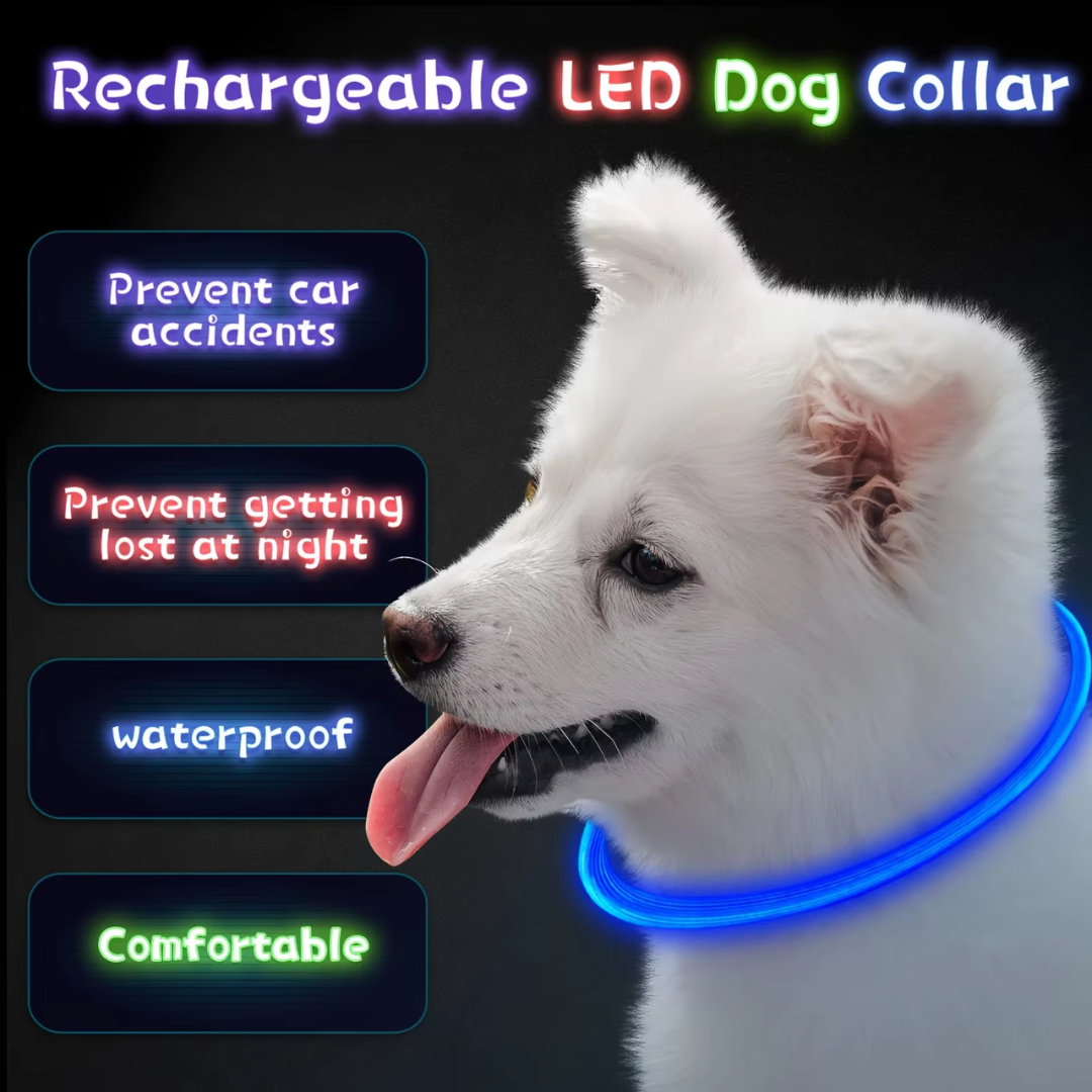 Sovere LED Dog Collar with Rechargeable Light, Adjustable Size, Waterproof Design for Nighttime Safety 6