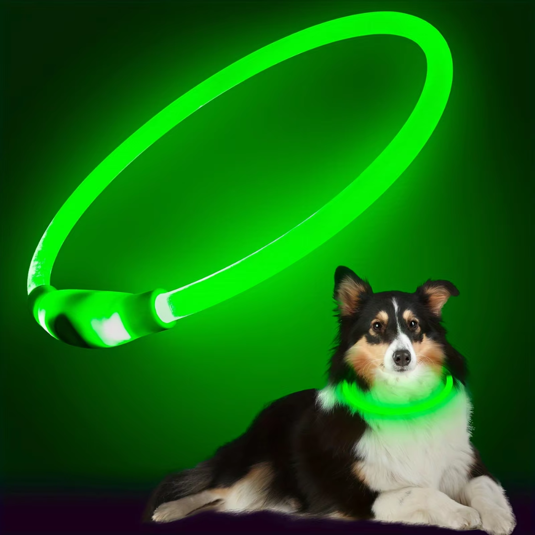 Sovere LED Dog Collar with Rechargeable Light, Adjustable Size, Waterproof Design for Nighttime Safety 9