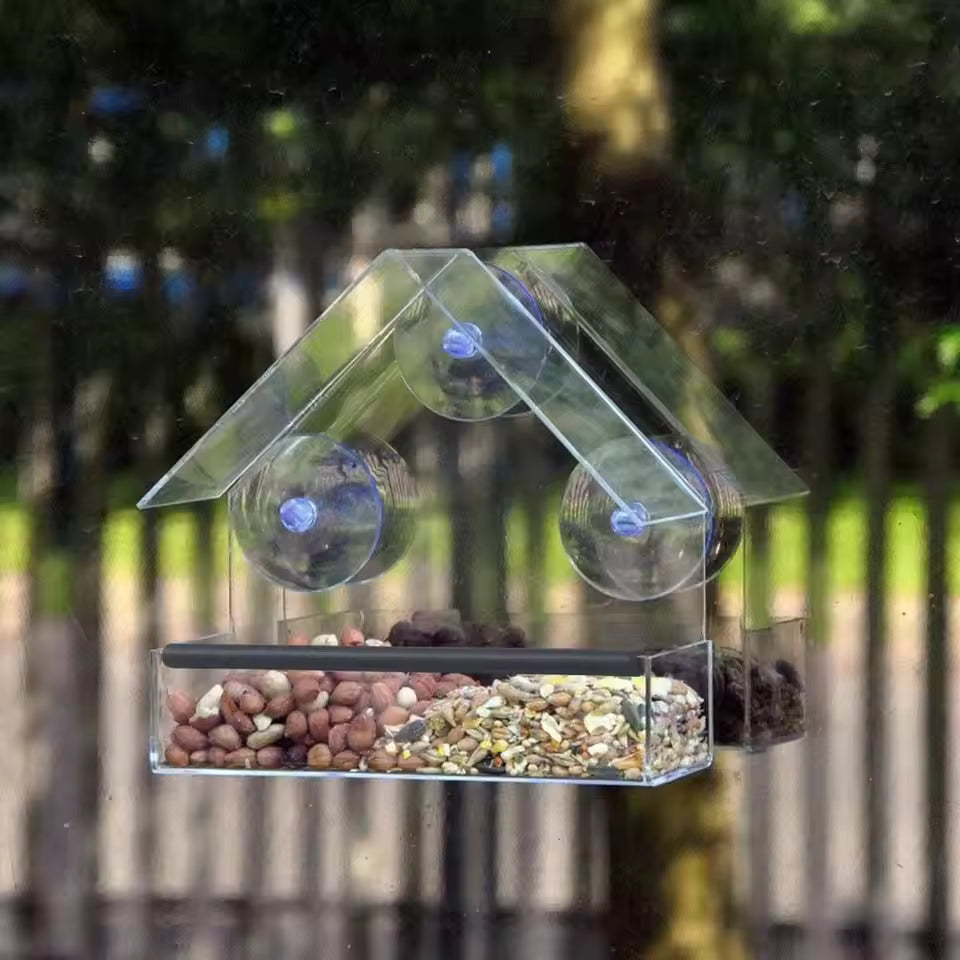 Majesta Transparent Acrylic Window Bird Feeder with Strong Suction Cups for Easy Viewing